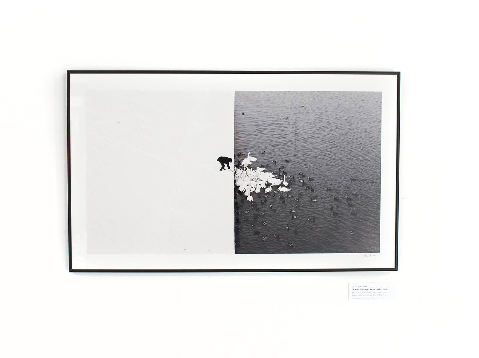 Un homme nourrissant des cygnes dans la neige - Grand Prix NYPH New York Photo Festival 2015 en vente 6