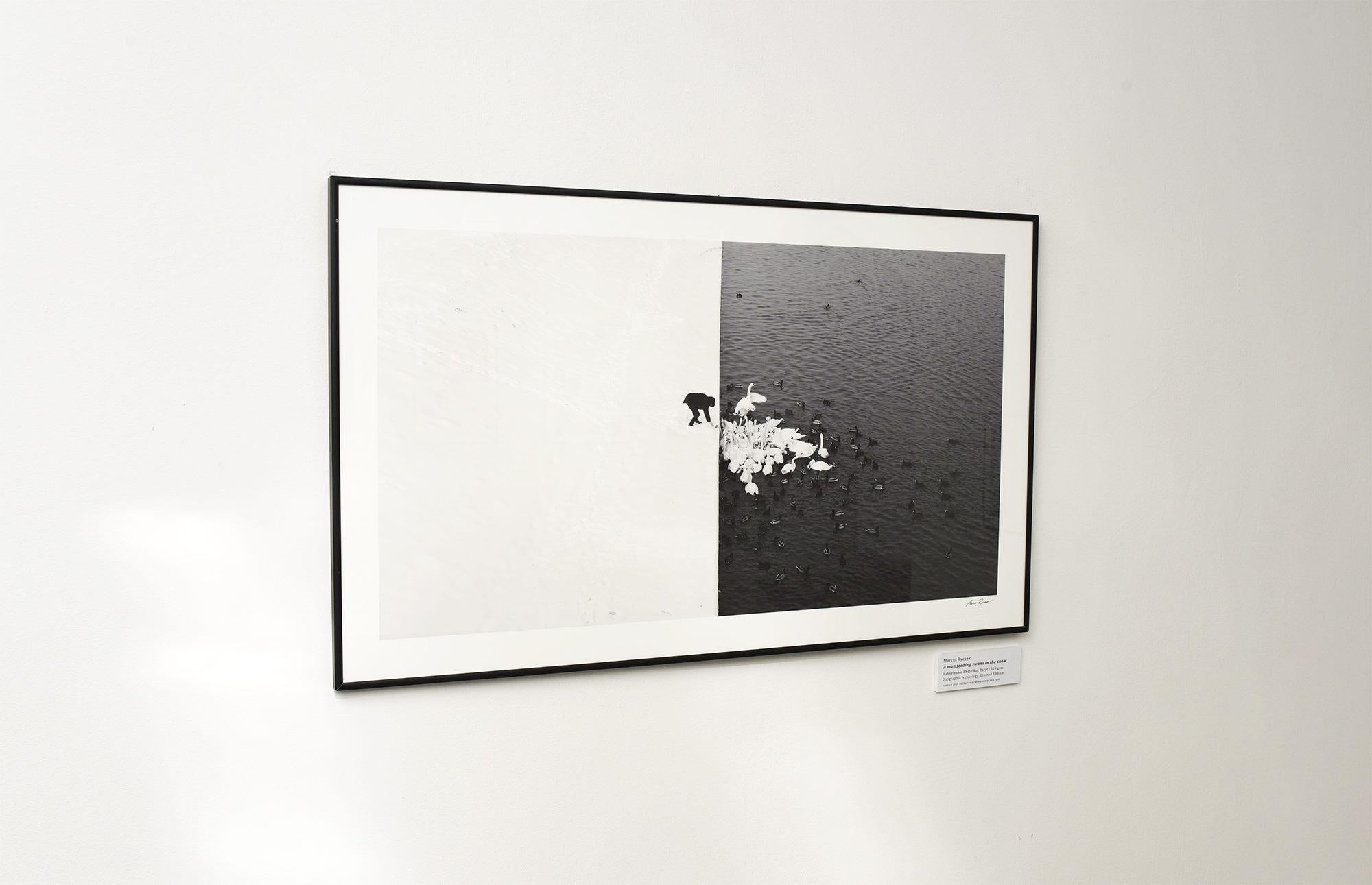 Un homme nourrissant des cygnes dans la neige - Grand Prix NYPH New York Photo Festival 2015 en vente 7