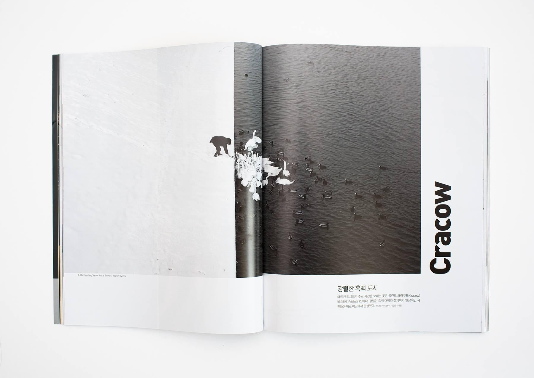 Un homme nourrissant des cygnes dans la neige - Grand Prix NYPH New York Photo Festival 2015 en vente 9