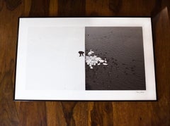 Ein Mann füttert Schwäne im Schnee - Grand Prix NYPH New York Photo Festival 2015