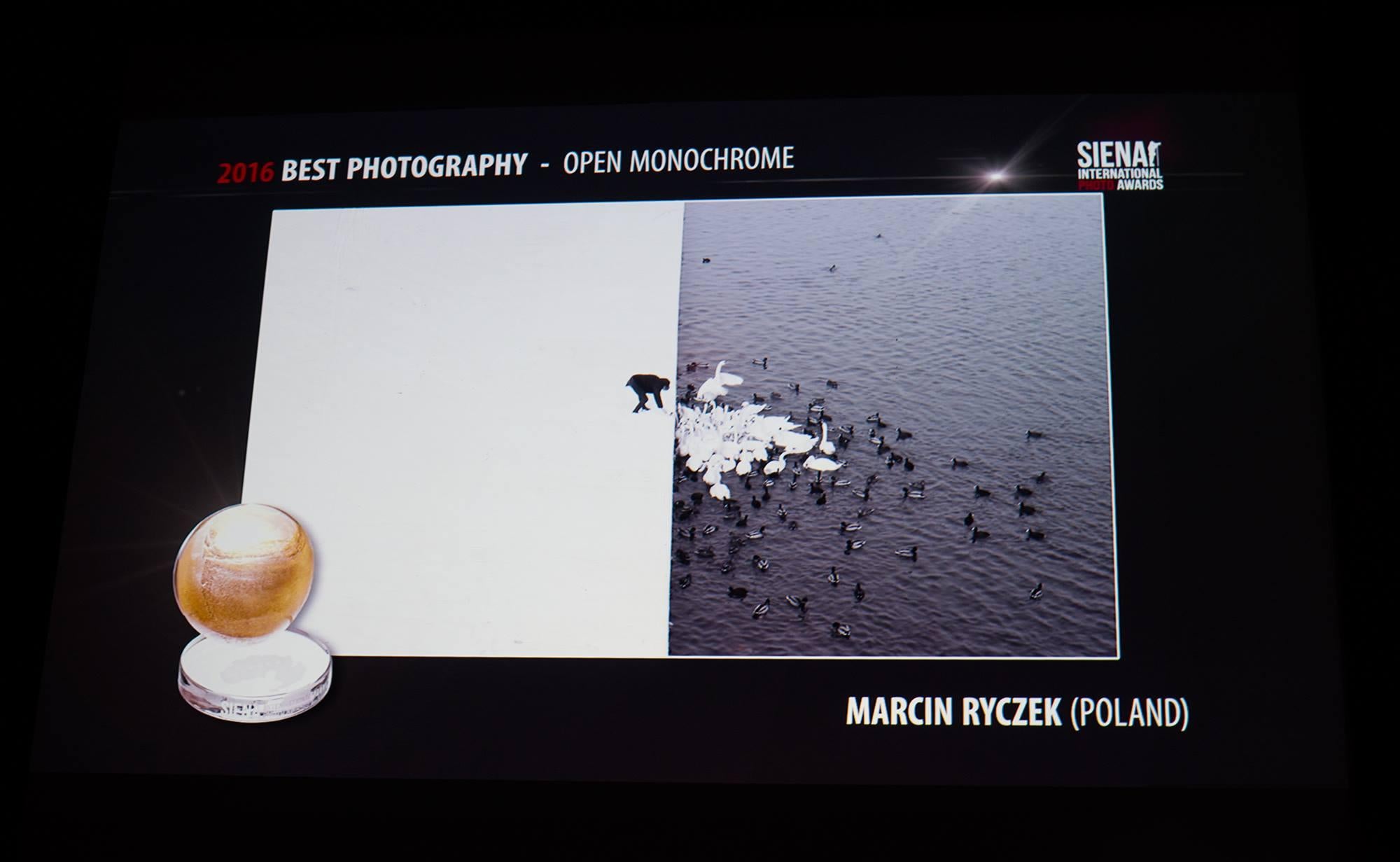 A Man Feeding Swans in the Snow - Grand Prix NYPH New York Photo Festival 2015 - Gray Black and White Photograph by Marcin Ryczek
