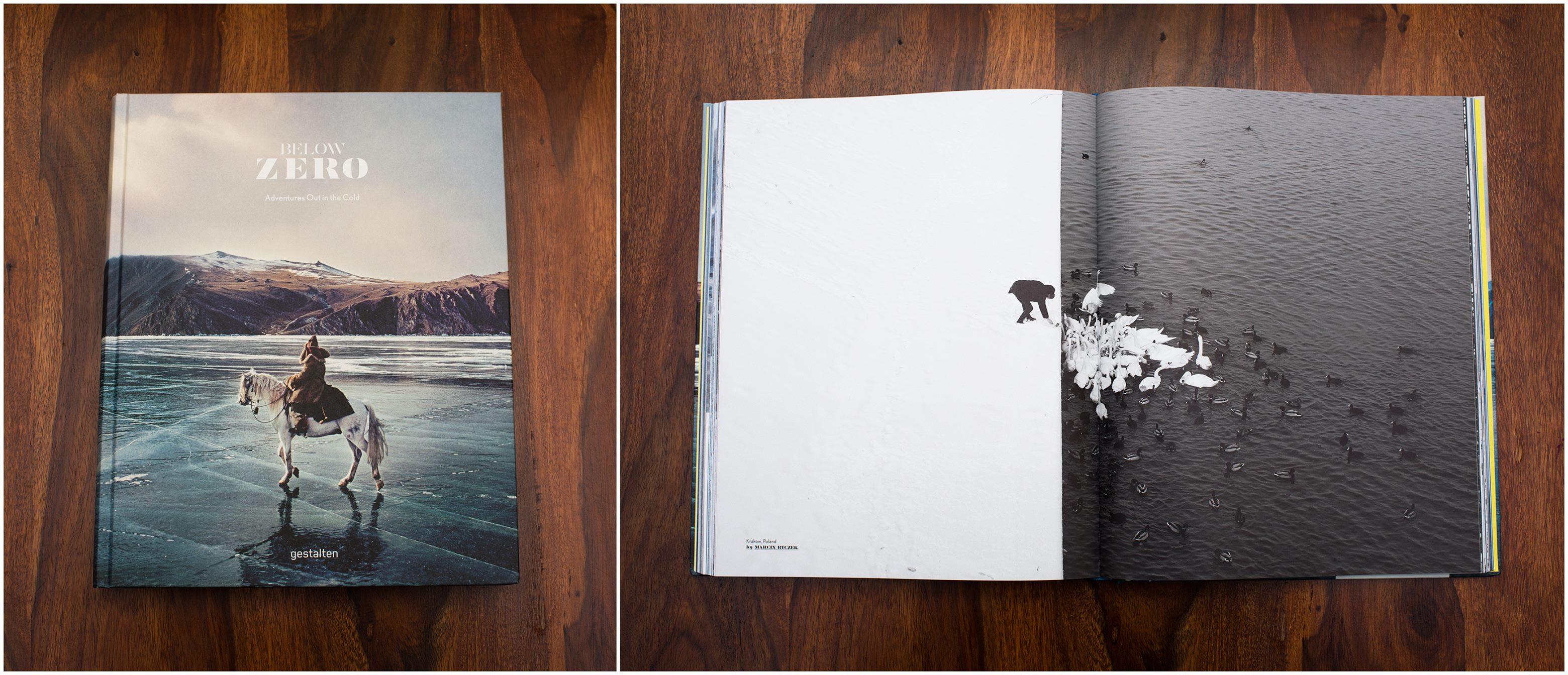Un homme nourrissant des cygnes dans la neige - Grand Prix NYPH New York Photo Festival 2015 en vente 3