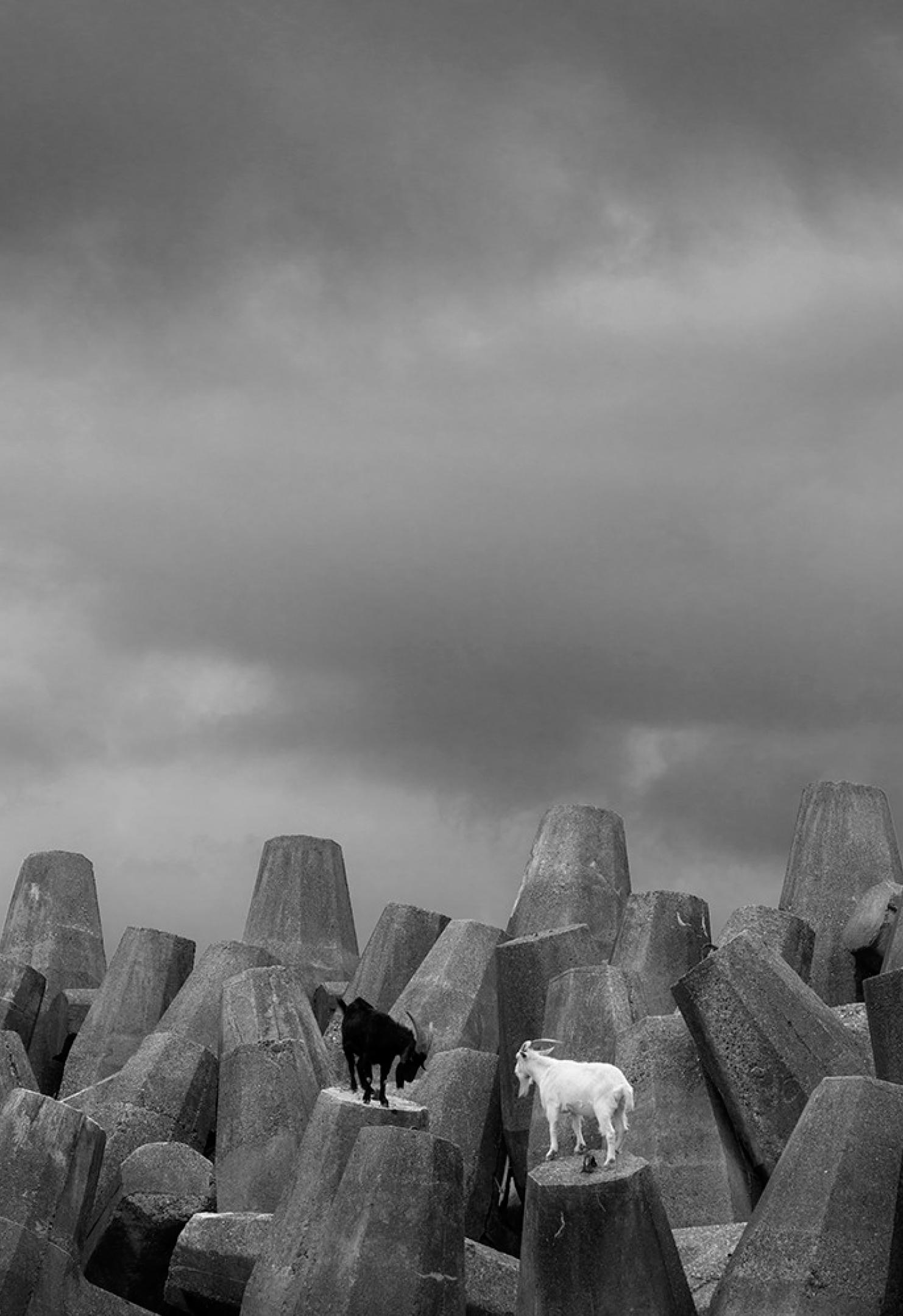 Battl - Fotografia simbolica contemporanea in bianco e nero, edizione limitata a 15 esemplari