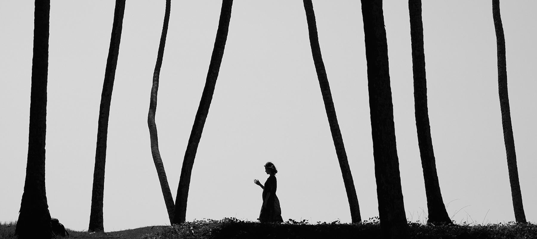 Marcin Ryczek Black and White Photograph – Forest - Zeitgenössische minimalistische Straßenfotografie, Schwarz-Weiß