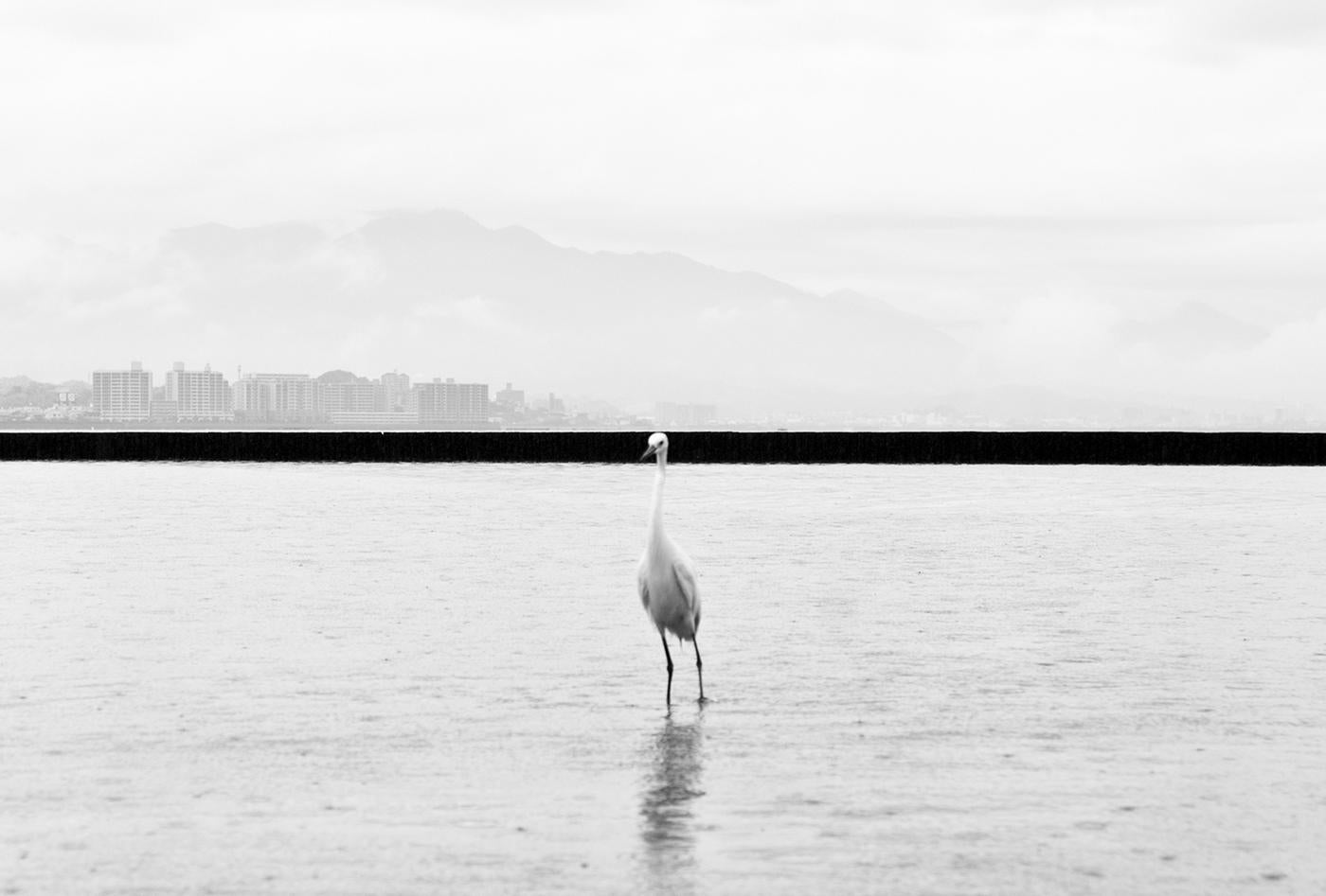 Marcin Ryczek Black and White Photograph – Hiroshima - The Phoenix Rising from the Ashes,  Minimalistische Straßenfotografie