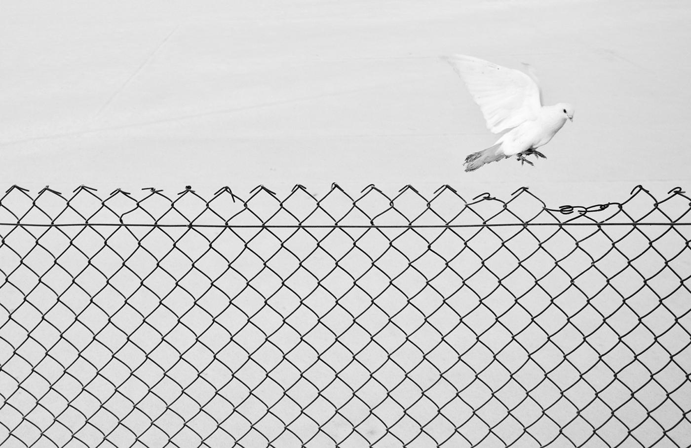 Liberation - Contemporary Minimalist Street Photography, Black And White