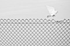 Liberation - Photographie de rue contemporaine minimaliste, noir et blanc