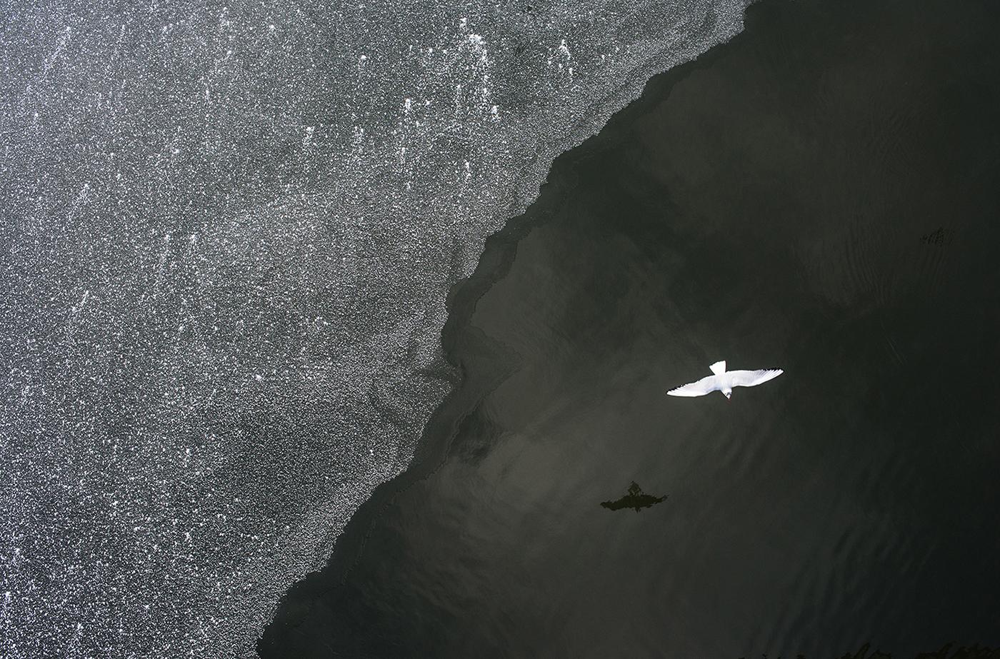 Reflexión - Fotografía callejera contemporánea, minimalista y simbólica