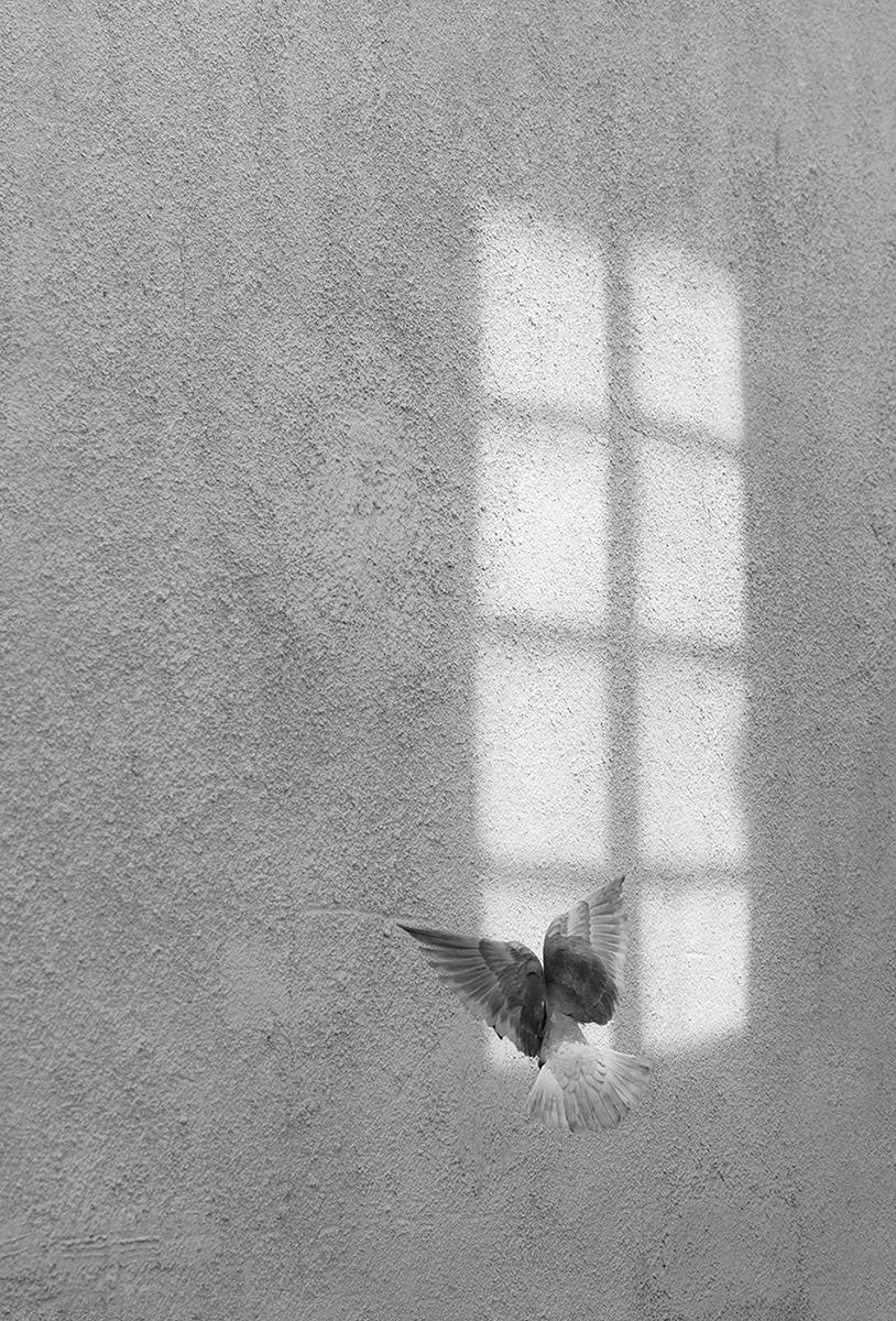 Marcin Ryczek Figurative Photograph - Secret Window - Contemporary Symbolic Street Photography, Black And White