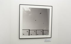 (in)real - Fotografía Minimalista y Simbólica Contemporánea, Blanco y Negro