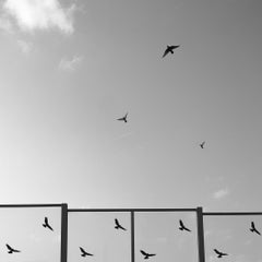 (un)real - Contemporary Minimalist And Symbolic Photography, Black and White