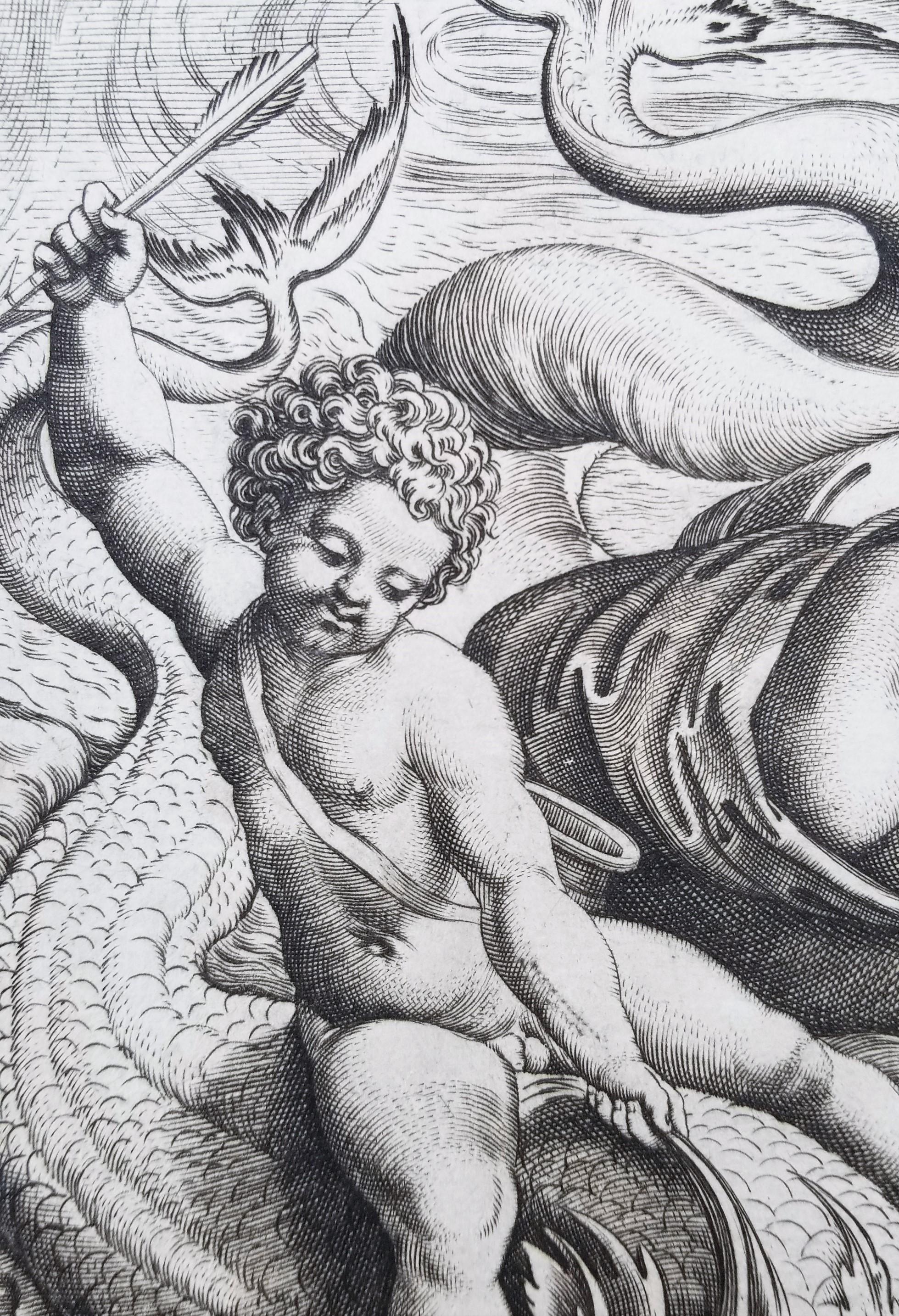 Venere e Amore sui Delfini (Vénus et Cupidon sur des dauphins) /// Maîtres anciens Raphael en vente 5