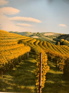 Vieneti in Langue (Piemonte) II