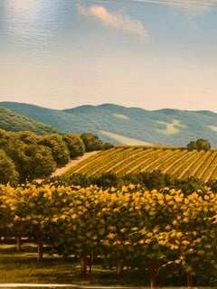 Vigneti in Toscana