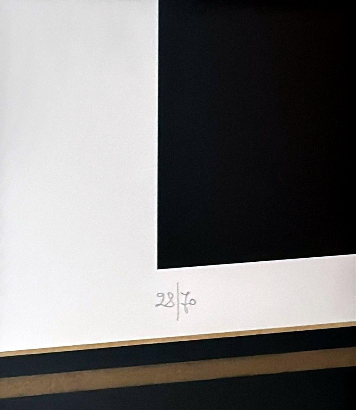 Marco Lodola Silkscreen On Paper (No. 28/70) In Mirrored Frame For Sale 6