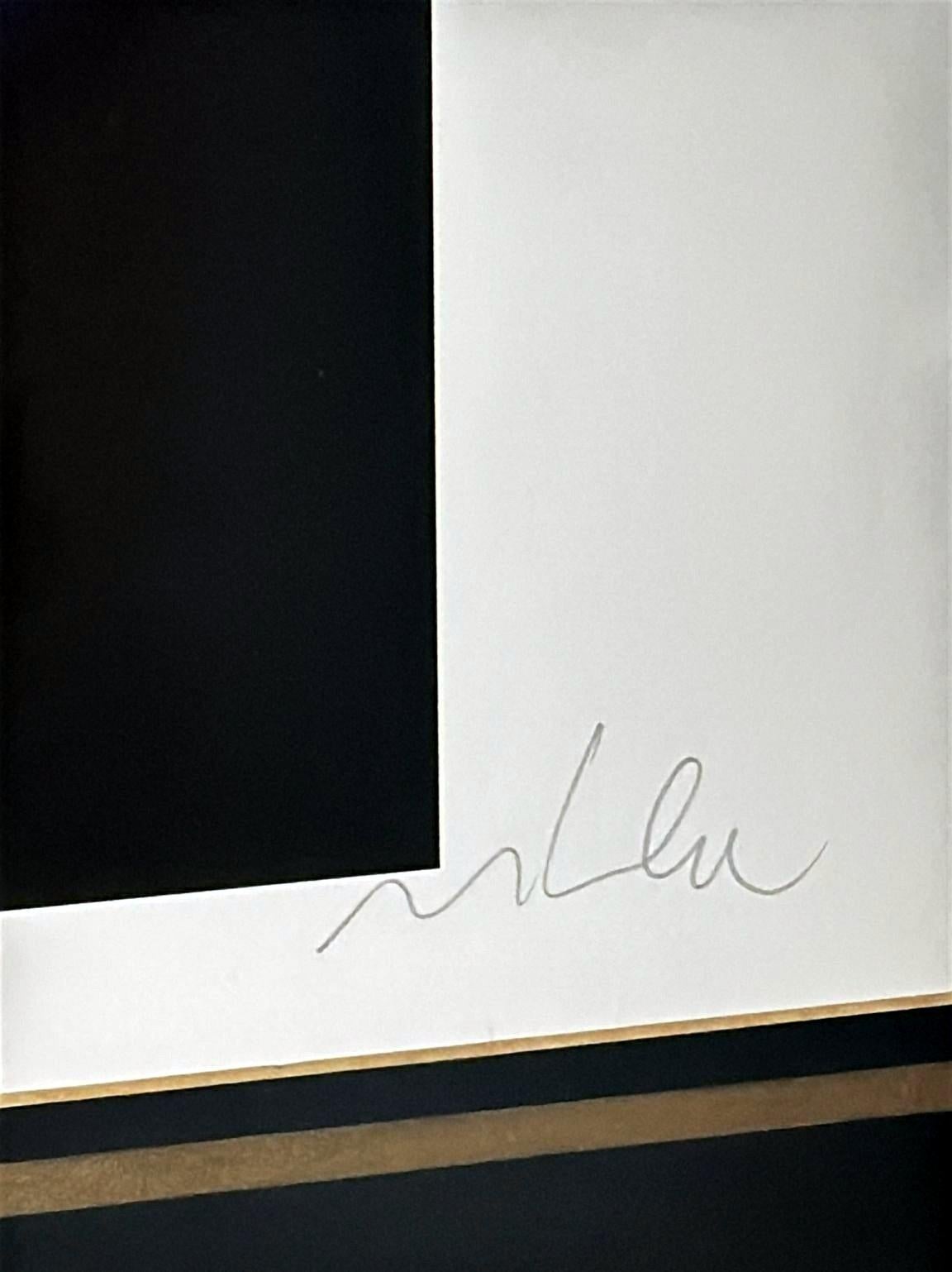 Marco Lodola Silkscreen On Paper (No. 28/70) In Mirrored Frame For Sale 7