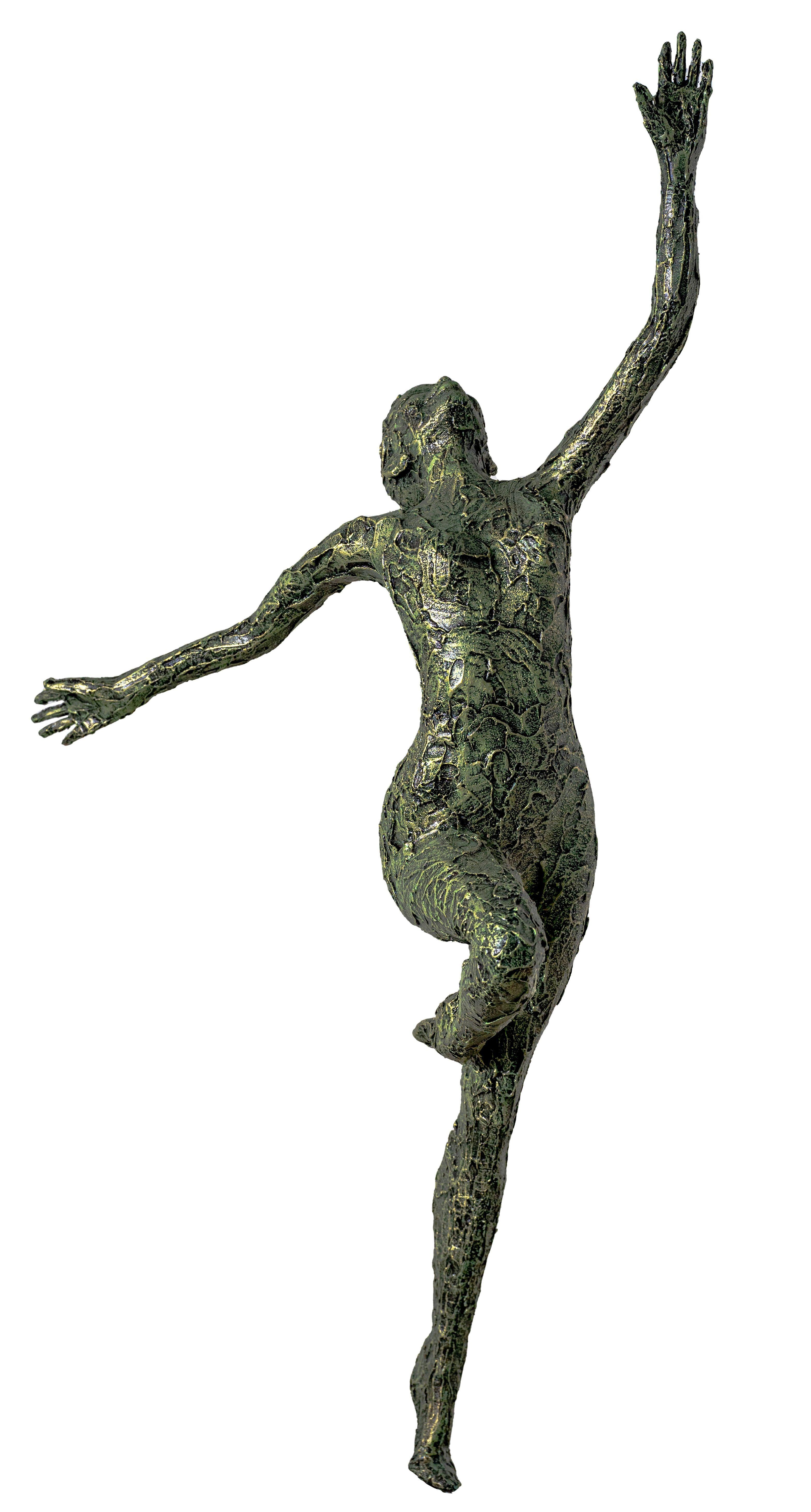 Marco Olivier is a renowned South African artist and owner of a bronze foundry in Cape Town. He is widely known for his original art in resin and bronze, which is recognized for its unique texture and painting effects. Despite the challenges he has