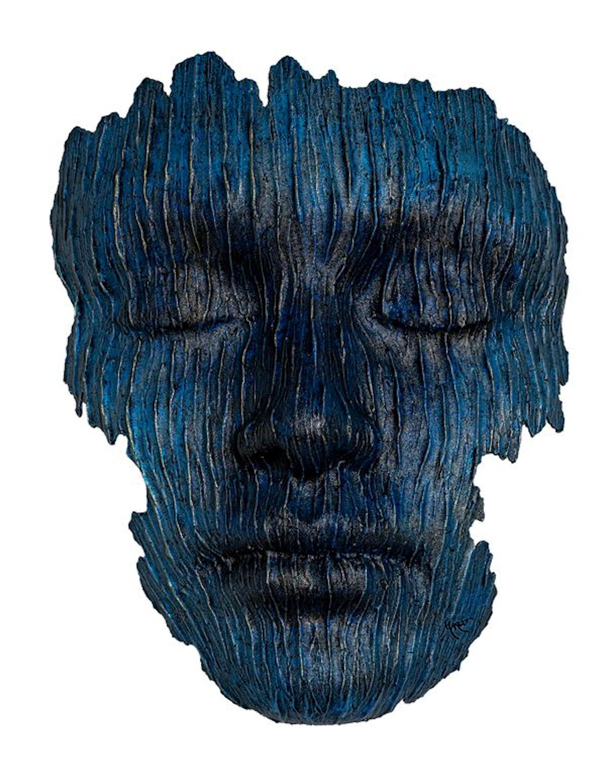 Marco Olivier is a renowned South African artist and owner of a bronze foundry in Cape Town. He is widely known for his original art in resin and bronze, which is recognized for its unique texture and painting effects. Despite the challenges he has