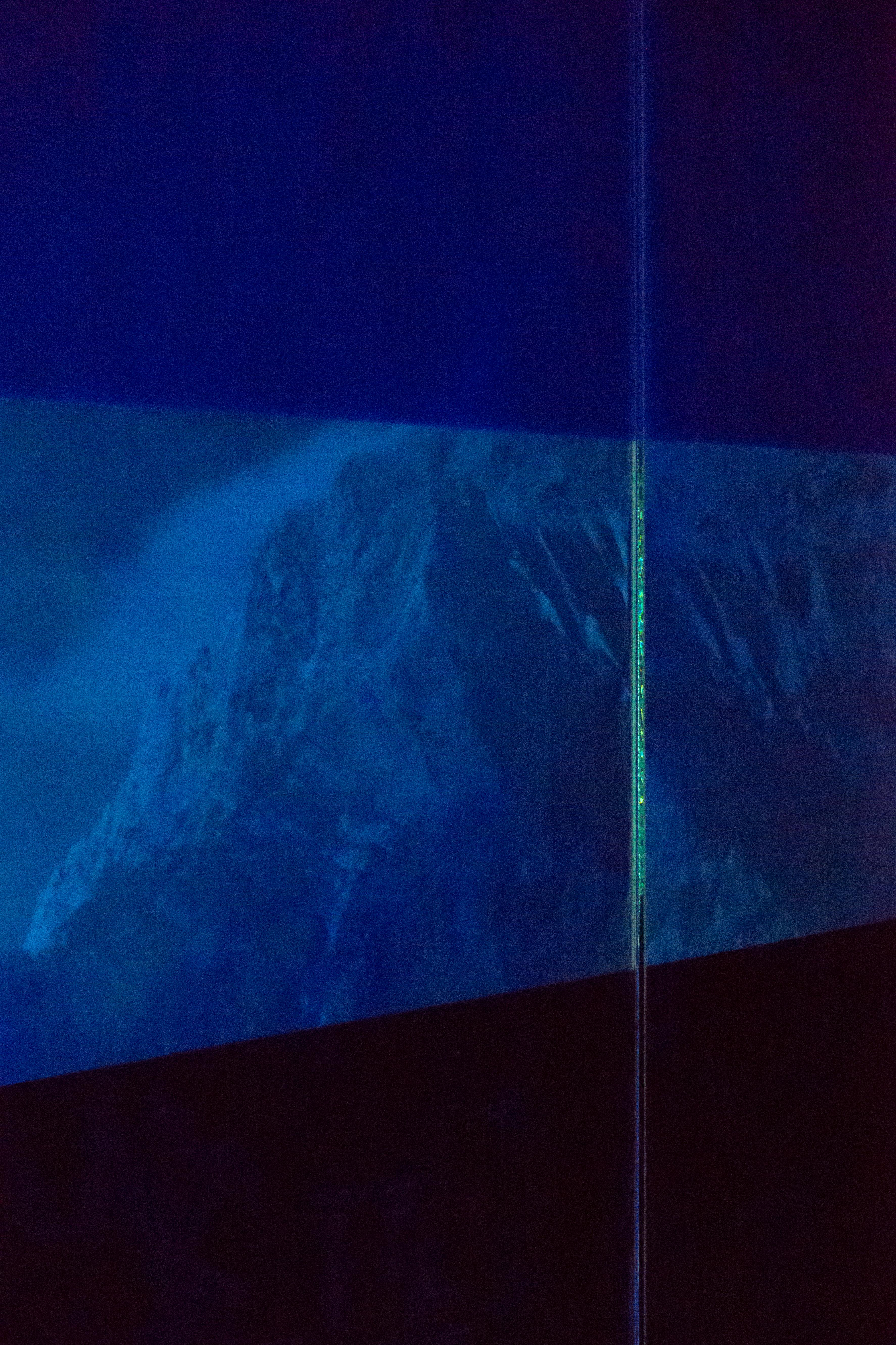 Bleu Discontinu en vente 1