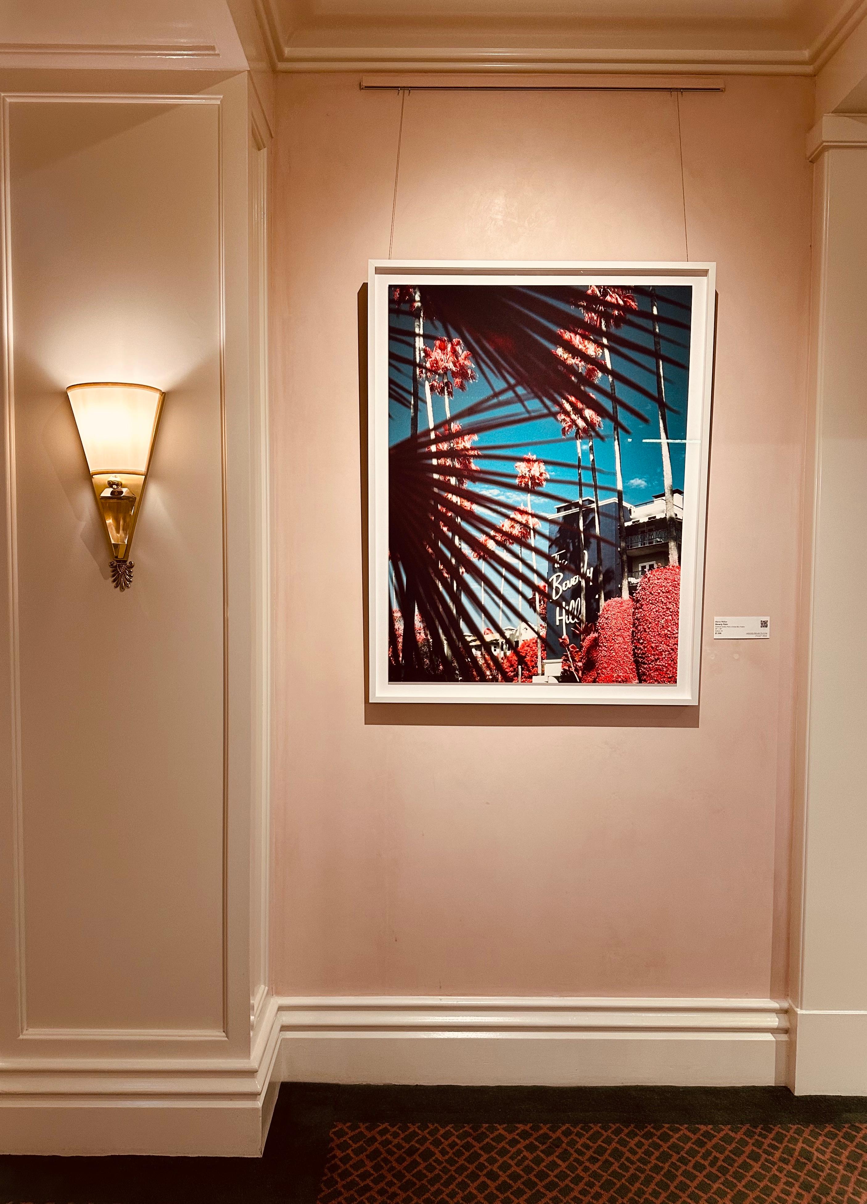 Beverly Palm - Contemporary Photograph by Marco Walker