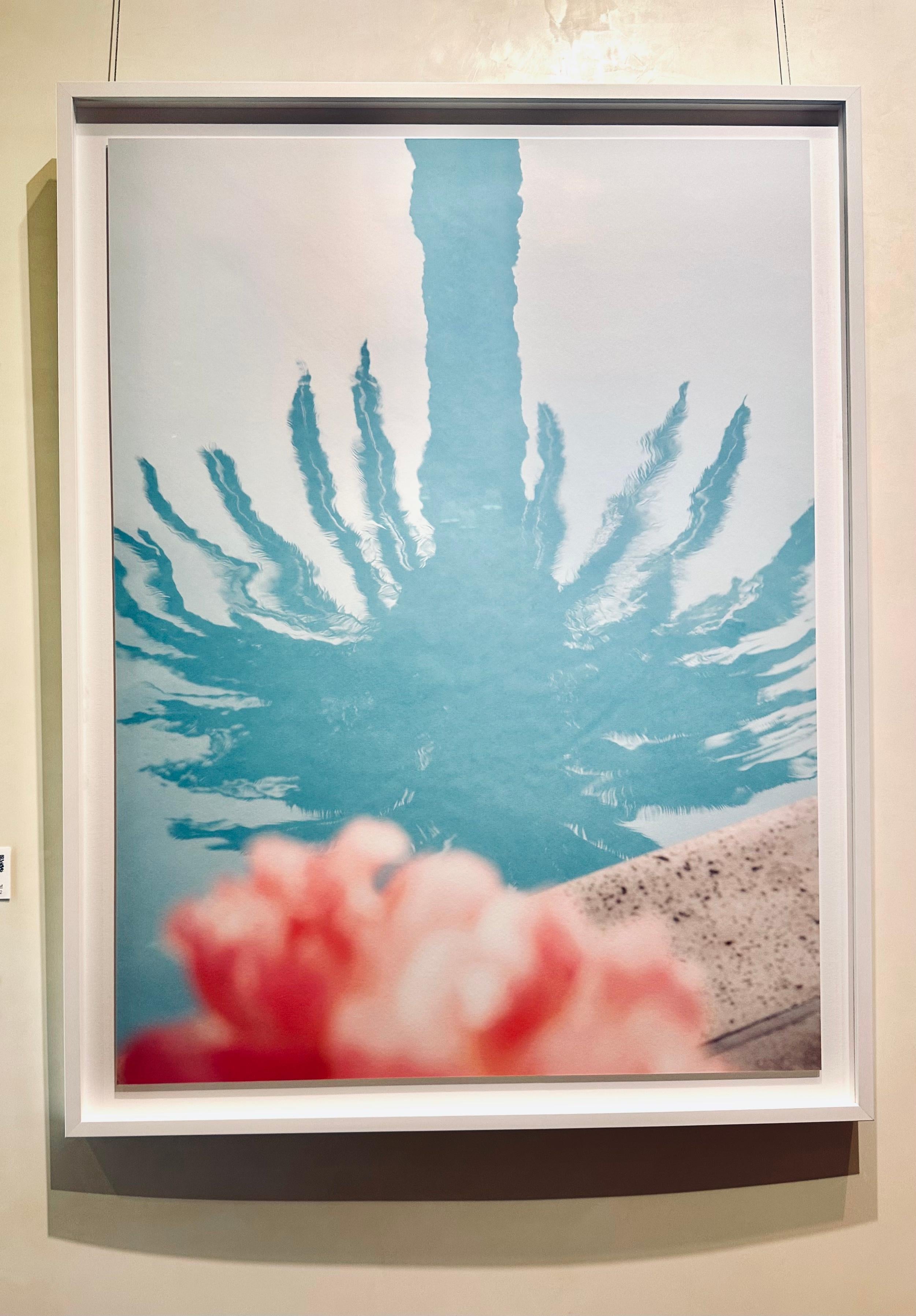 Pink Palm - Photograph by Marco Walker