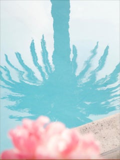 Palmier rose