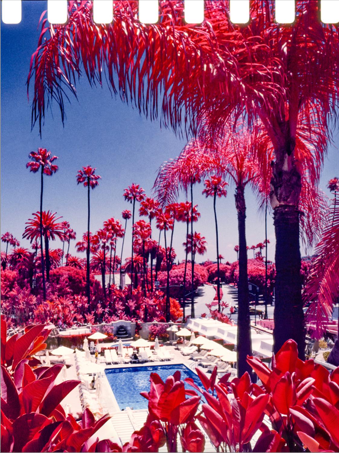 Marco Walker Landscape Print - Pink Paradiso