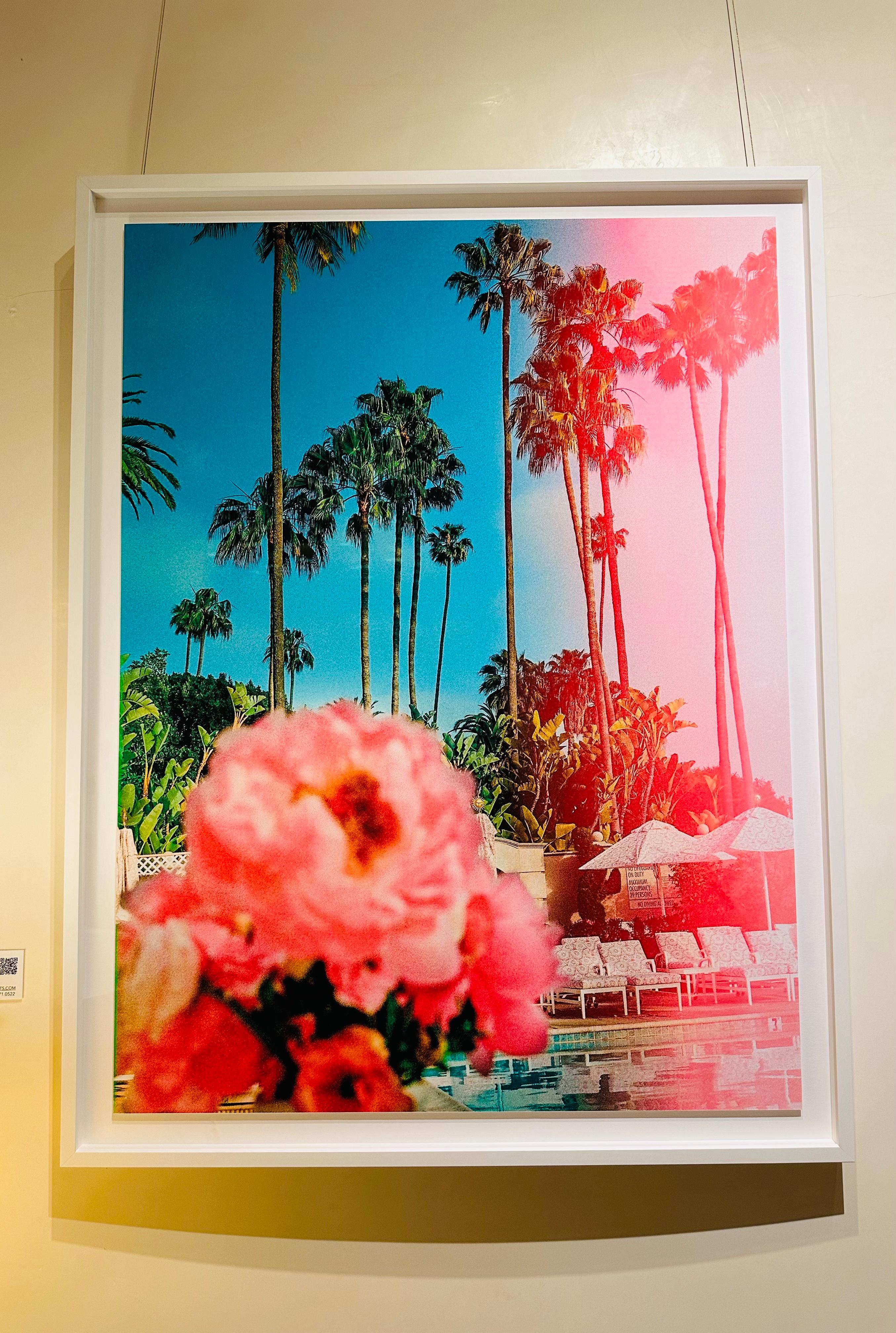 Rosa junto a la piscina - Print de Marco Walker
