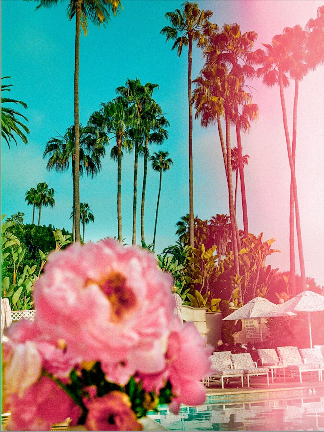 Landscape Print de Marco Walker - Rosa junto a la piscina