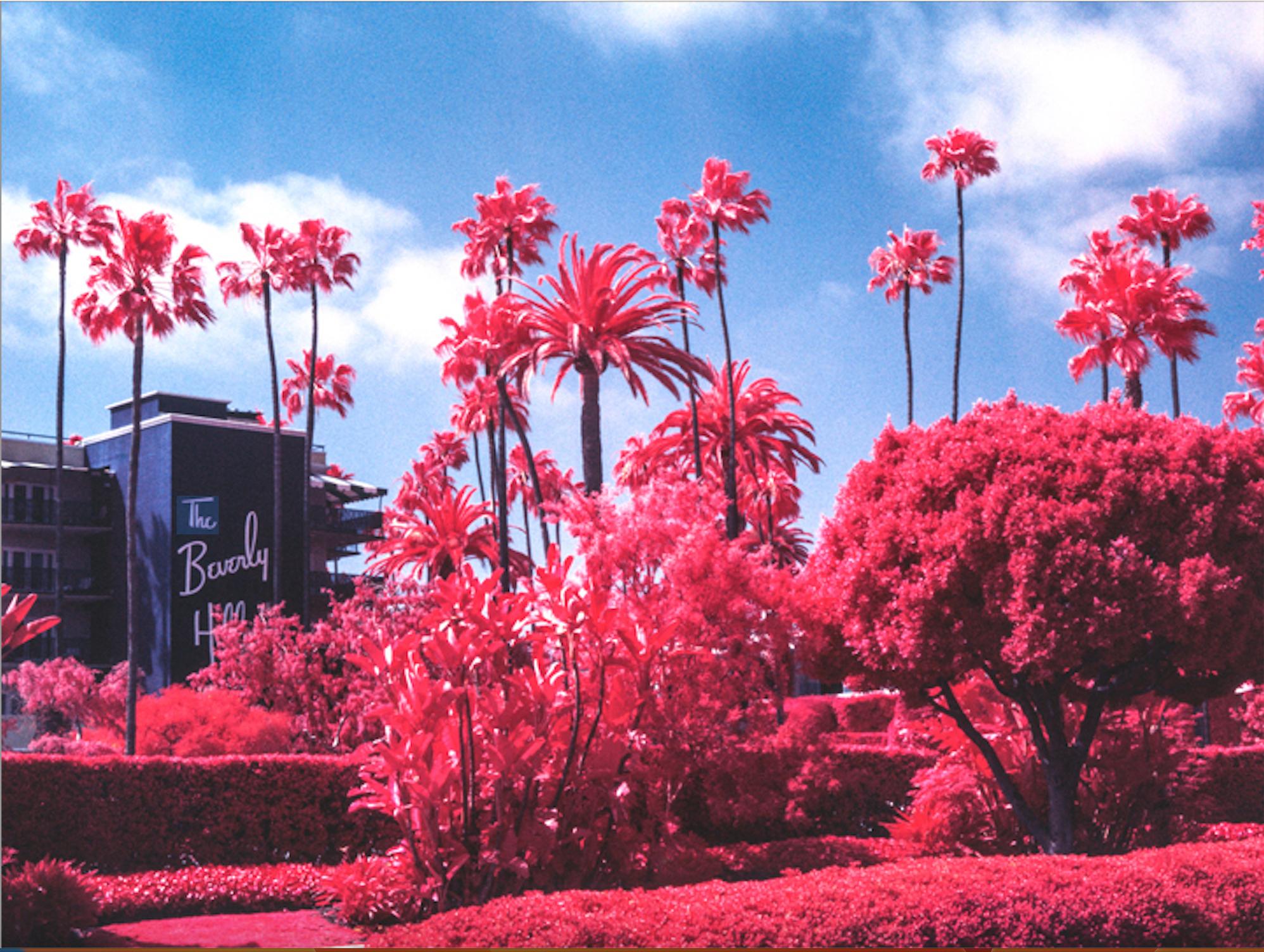 Color Photograph di Marco Walker - Il Palazzo Rosa