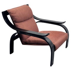 Marco Zanuso Arflex Woodline Armchair Design 1970's Modernism