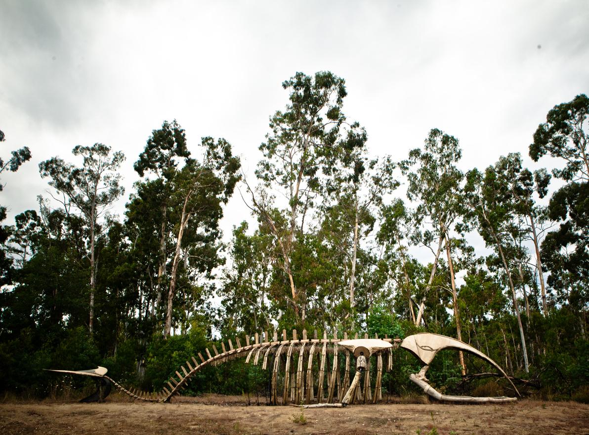 Squelette de baleine "Azul" Grande installation sculpturale interactive Sea Shore Finds 