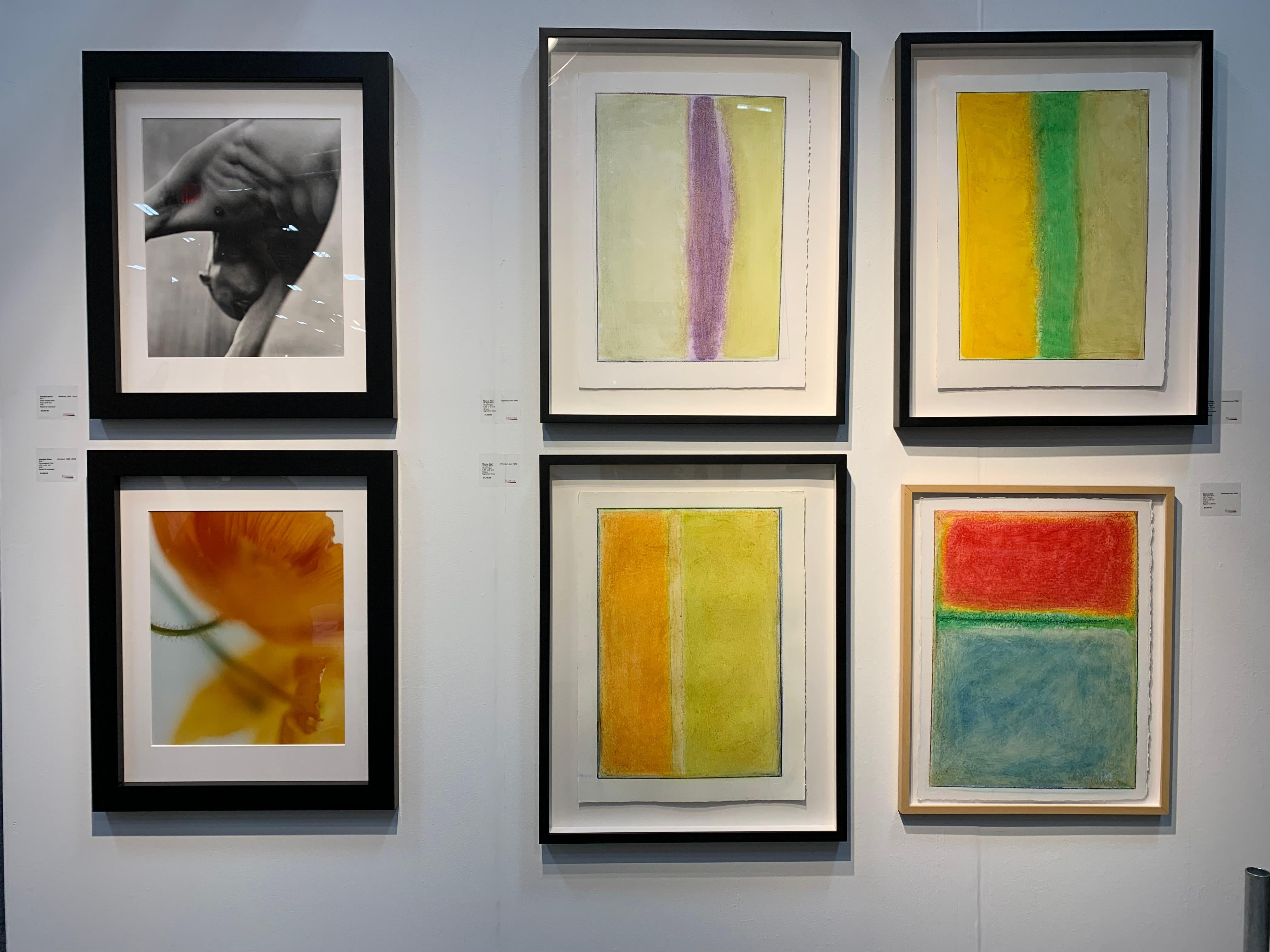 Zeitgenössisches lila-grünes Originalgemälde auf Papier, gerahmt, # 009 April 2017 (Abstrakt), Painting, von Marcus Abel