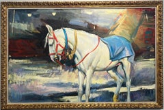 Marwari Mare, Pushkar in Grau