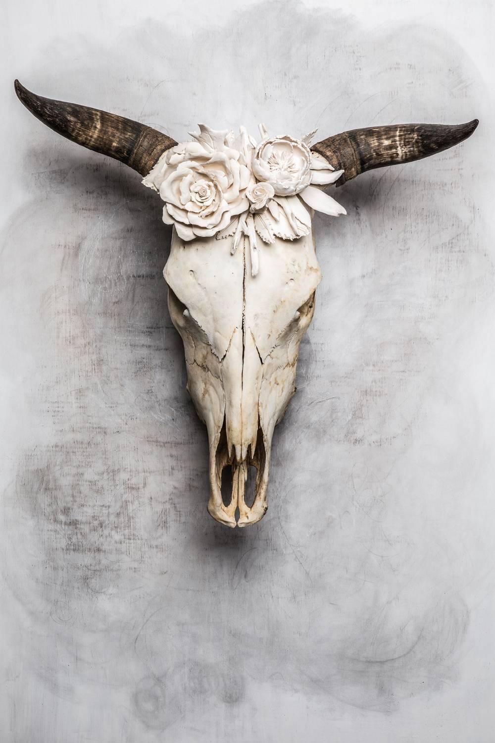 Peonia is a sculpture by artist Marcy Lally. The piece is made of a Steer skull with handmade porcelain ﬂowers. The piece is signed on the back. 
The peony with their lush full rounded blooms are known as the ﬂower of riches and honor. They embody
