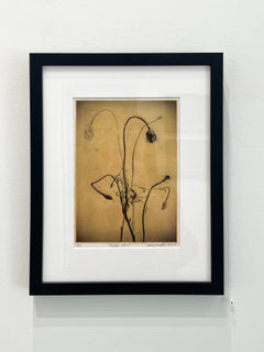 Once Was by Marcy Palmer, 2022, 24k gold leaf on vellum