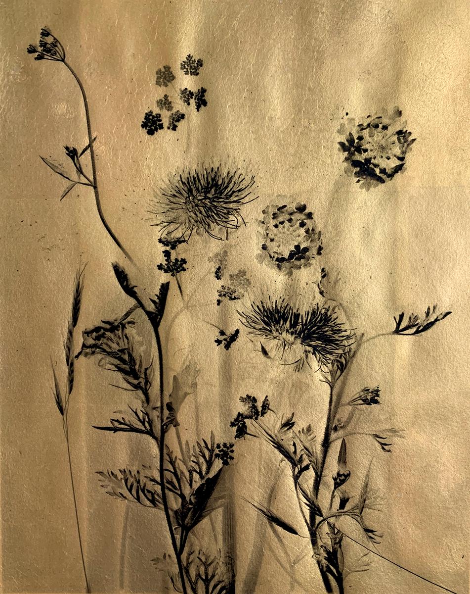 The Song You Would Hear de Marcy Palmer présente un bouquet de fleurs sauvages, illuminé sur un fond d'or. Cette photographie est réalisée en feuille d'or 24k sur vellum avec un vernis UV d'archivage et de la cire. Ce tirage mesure 9,25 x 7,38
