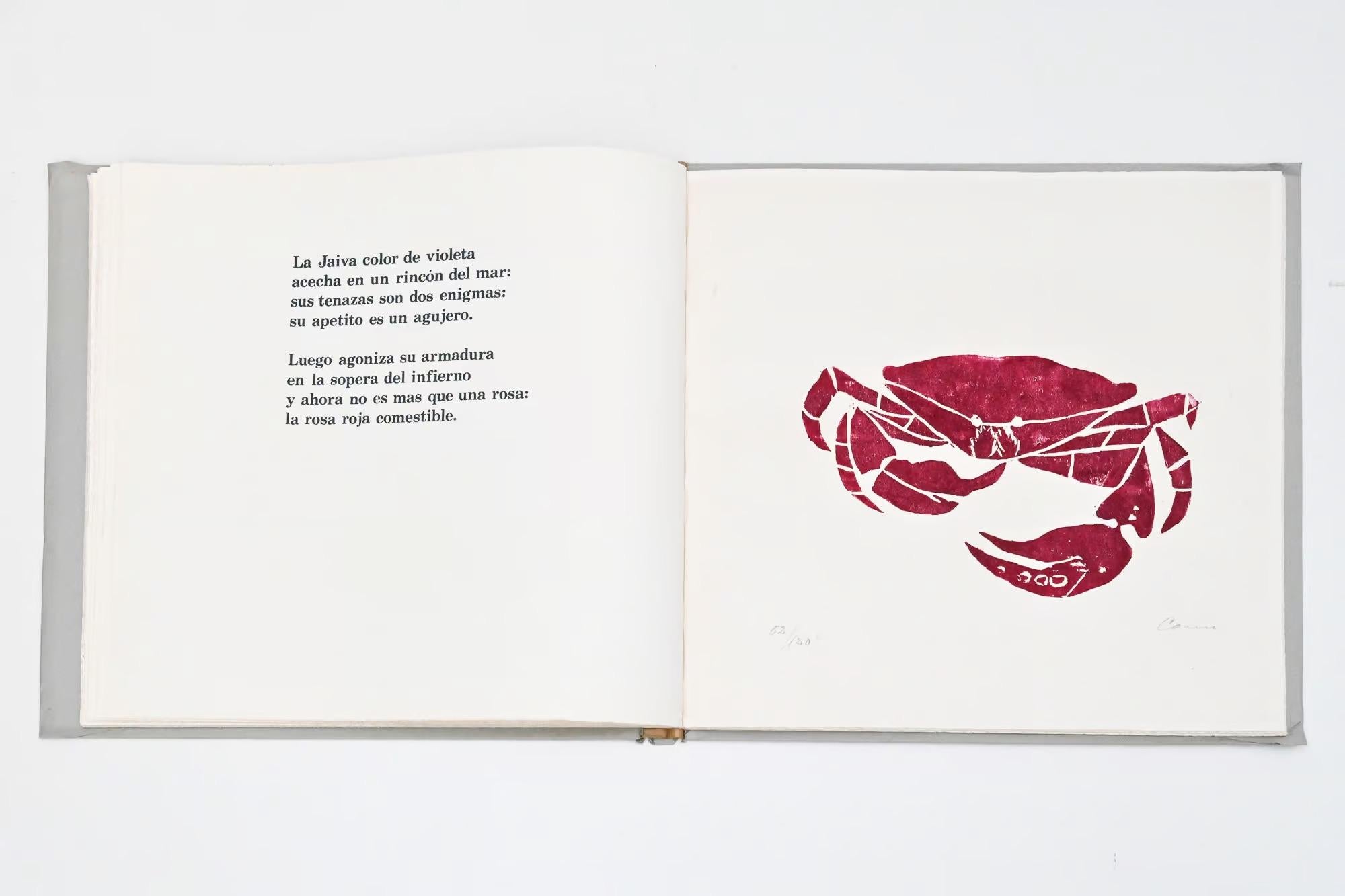 Maremoto de Pablo Neruda en venta 7