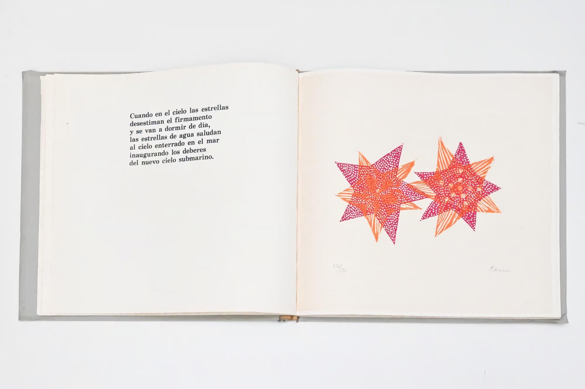 Maremoto de Pablo Neruda en venta 12