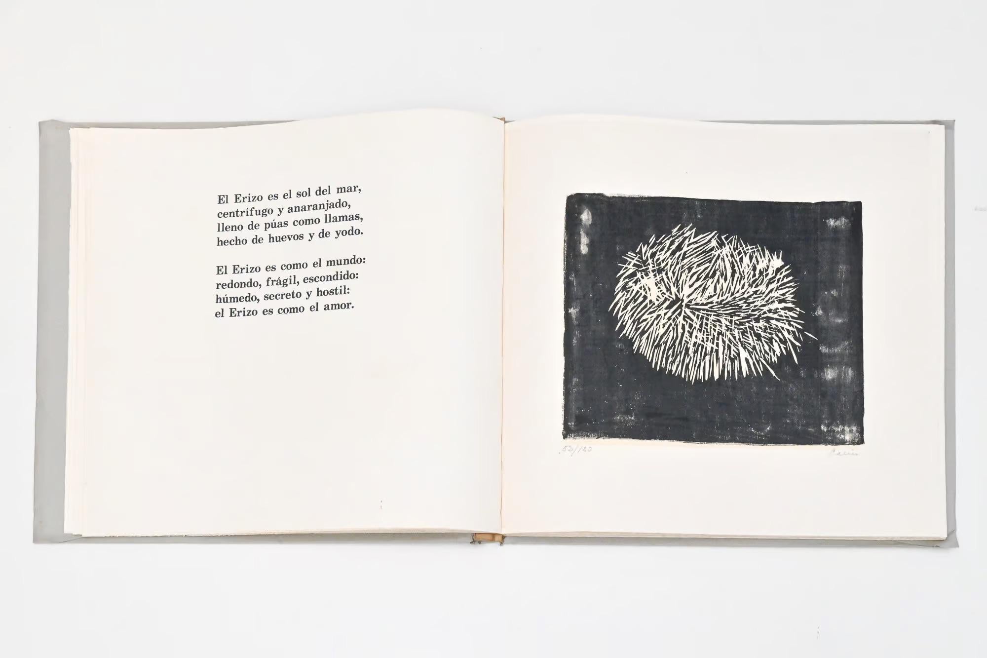 Maremoto de Pablo Neruda en venta 13