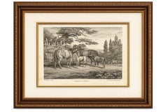 Mares & Foals Engraving – Original Georgian English Equestrian Print, 1799