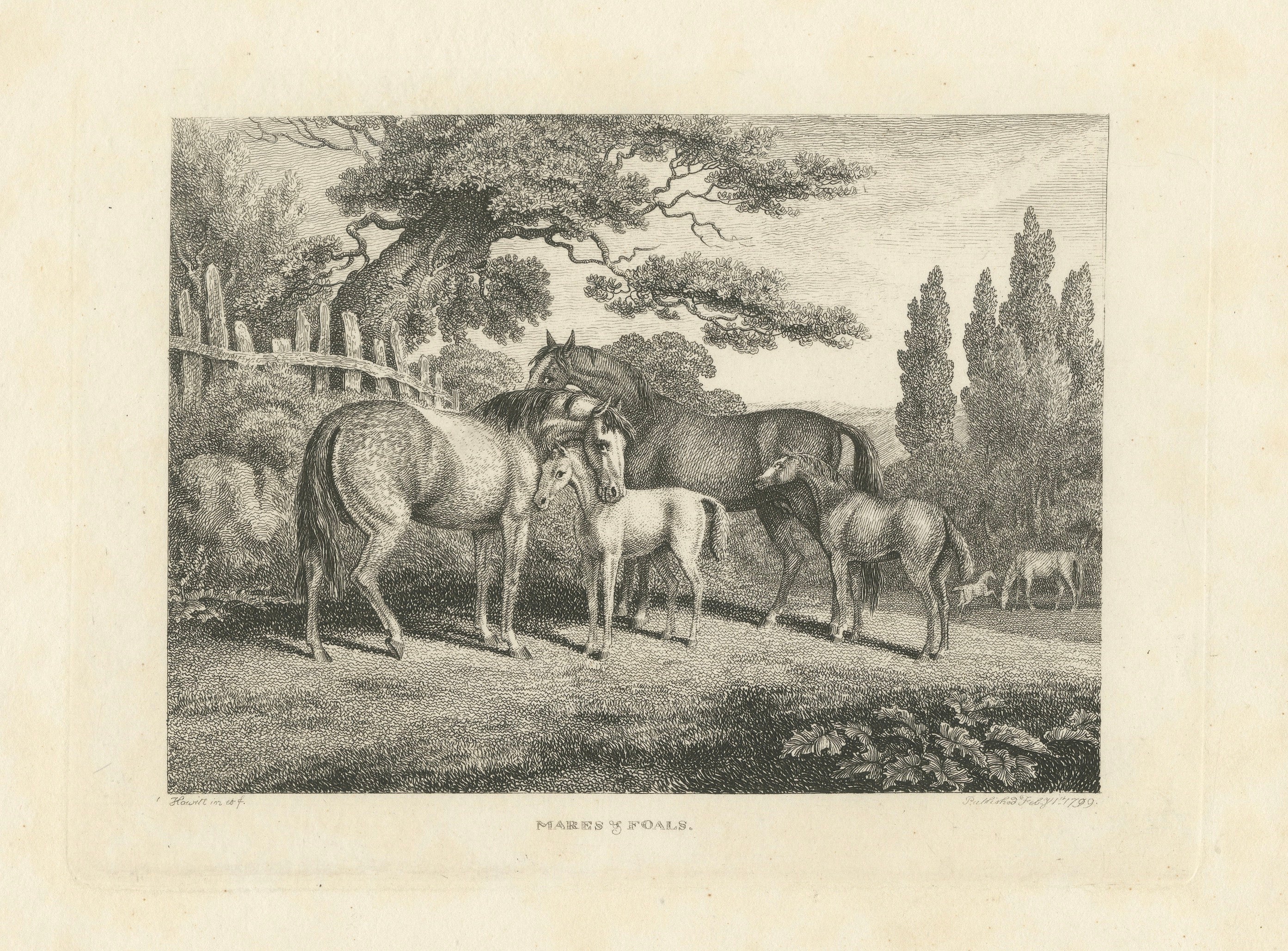 Mares & Foals Engraving – Original Georgian English Equestrian Print, 1799 For Sale