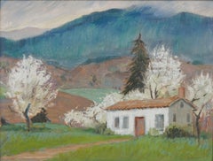 Mid Century Ojai Spring Cottage Landscape