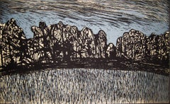 The Journals of Susanna Moodie 57/100 - original, illustrated book of poems