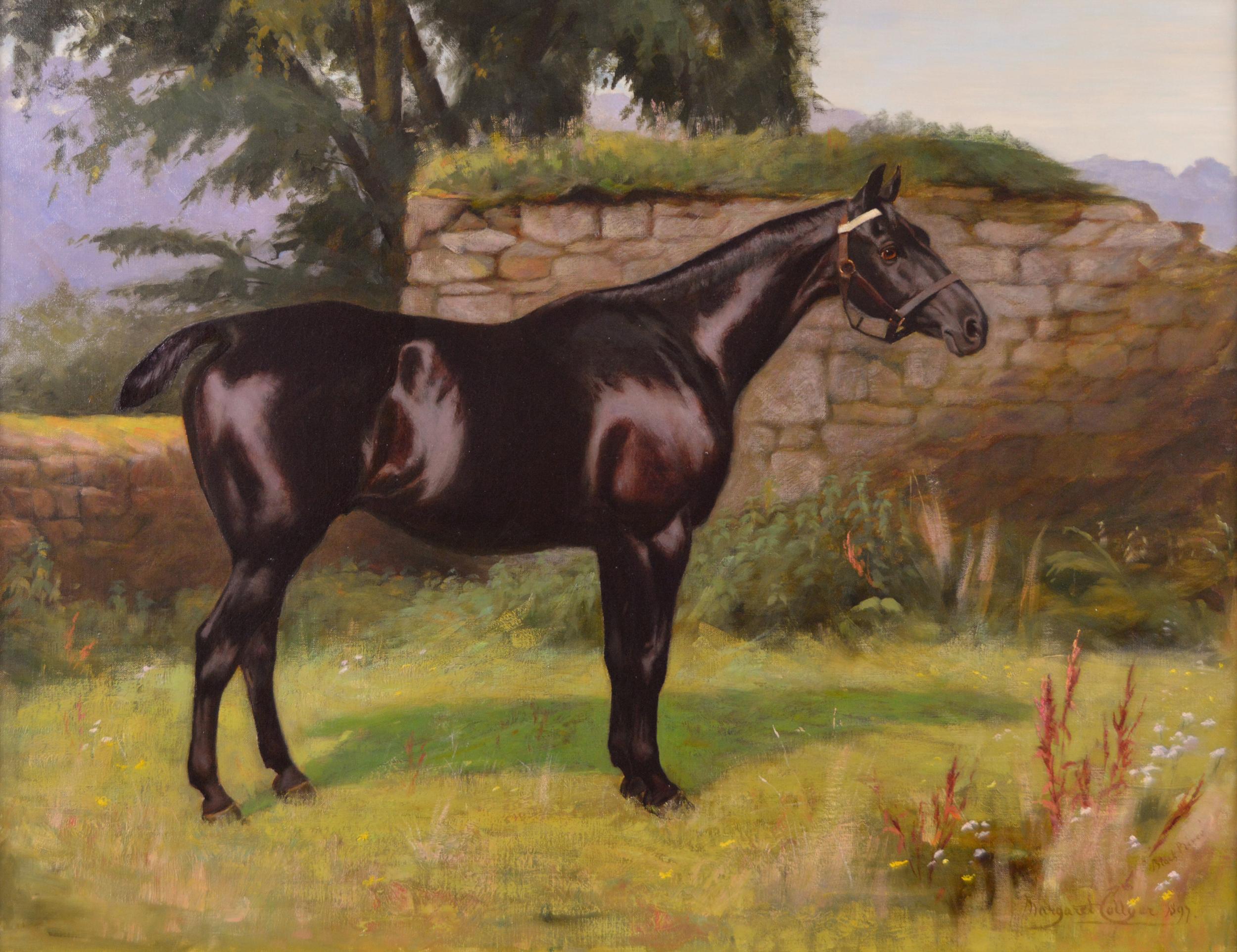 19th Century sporting horse portrait oil painting  - Painting by Margaret Collyer