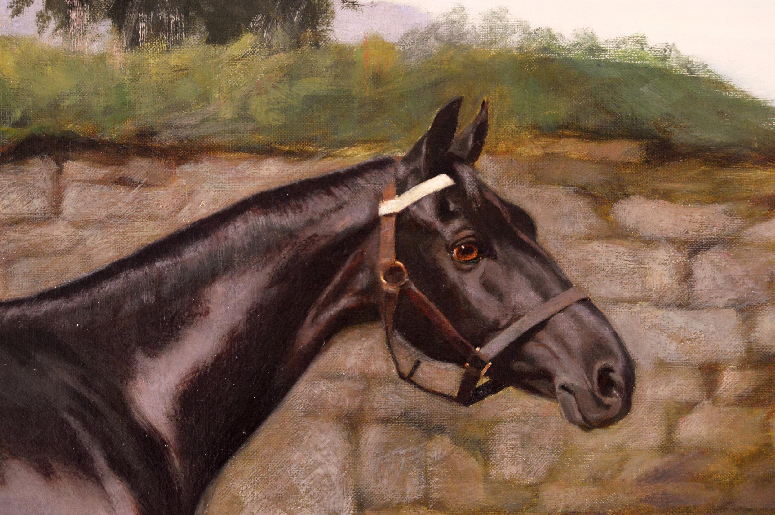 horse oil paintings for sale