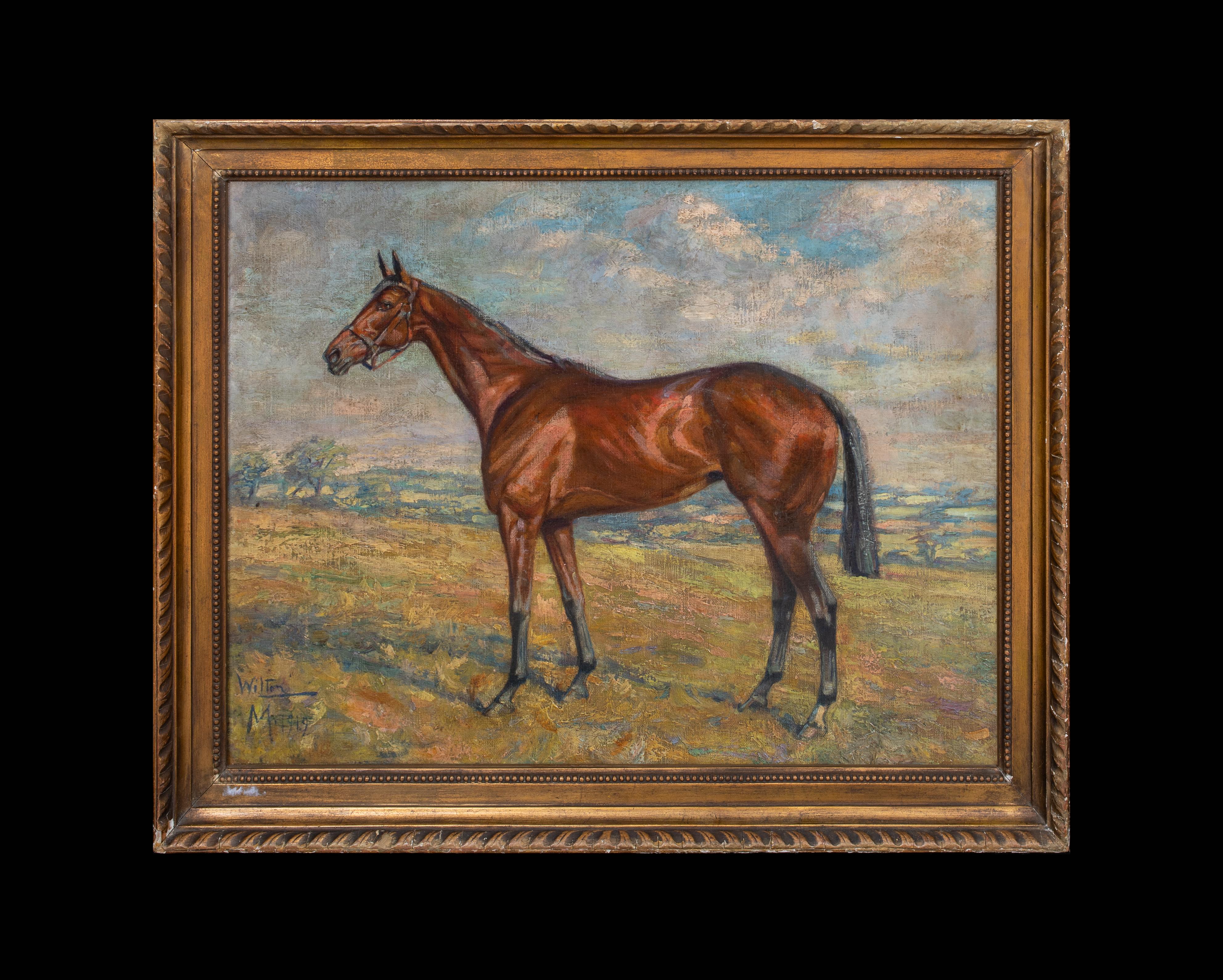Portrait Of A Racehorse 