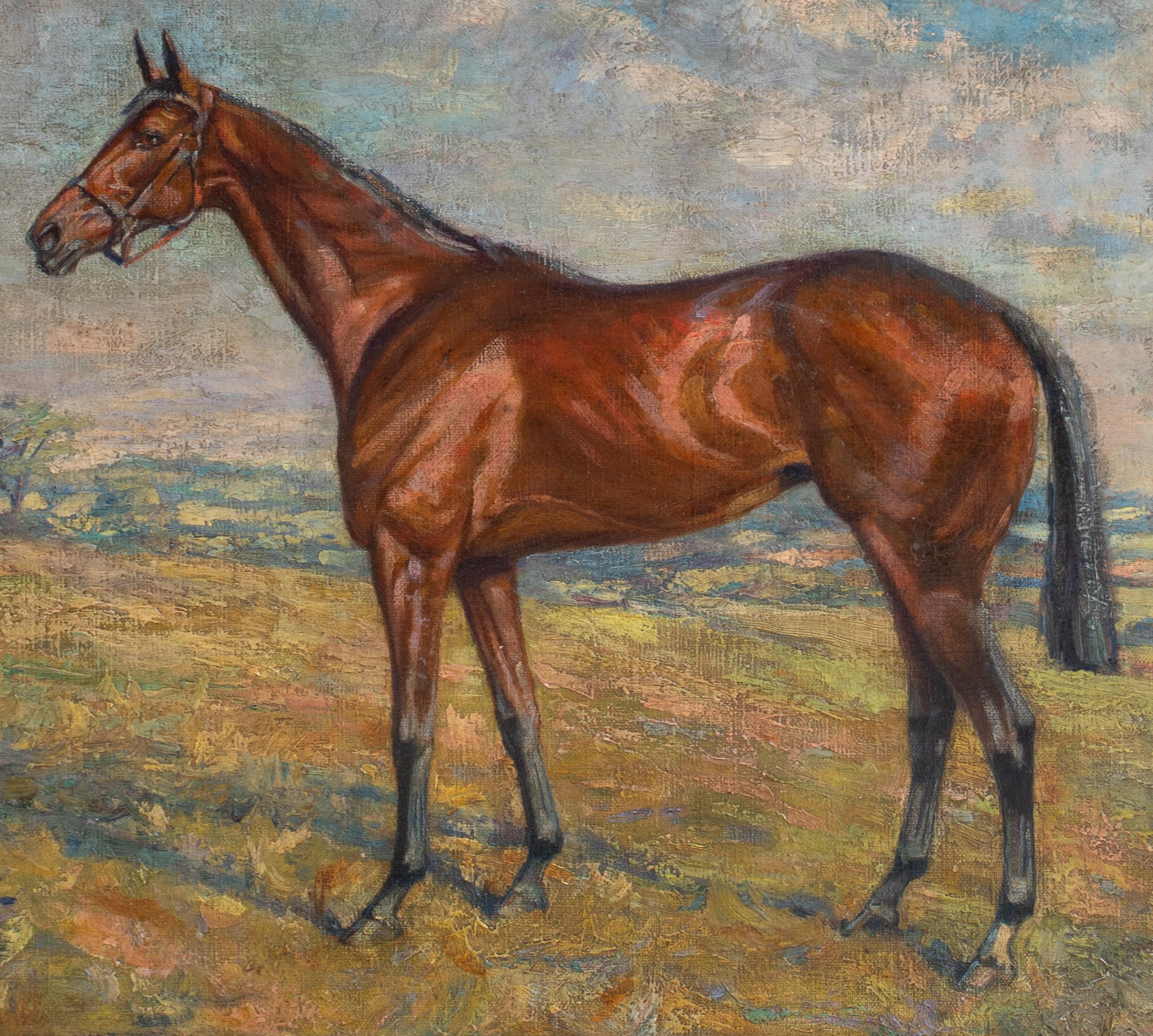 Portrait Of A Racehorse 