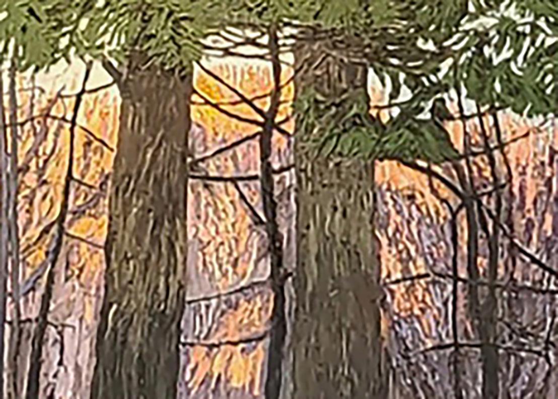 The Crying in the Wilderness I (Amerikanischer Realismus), Painting, von Margaret Grimes
