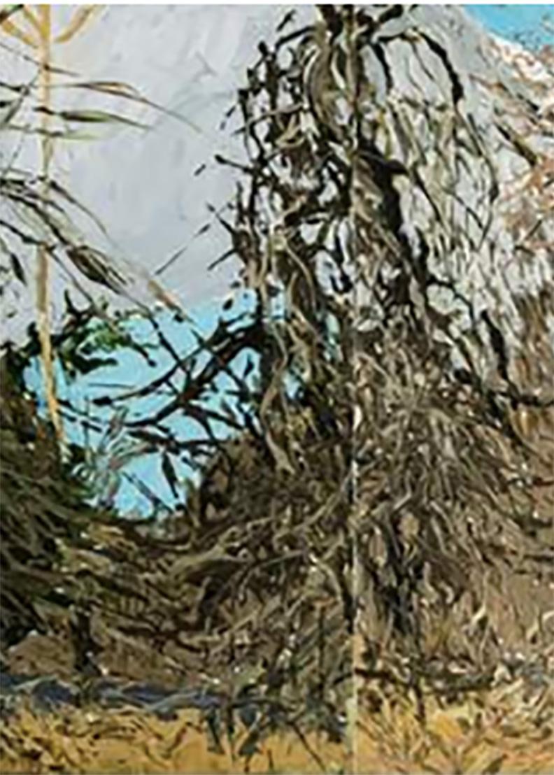 Baldwin Hill Road, Tangled Bushes, Baldwin – Painting von Margaret Grimes